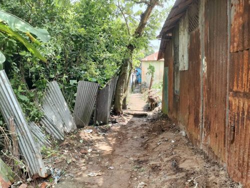 Cleaning Gaffargaon (5)