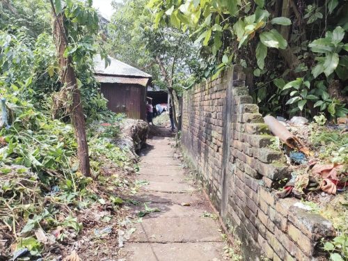 Cleaning Gaffargaon (6)